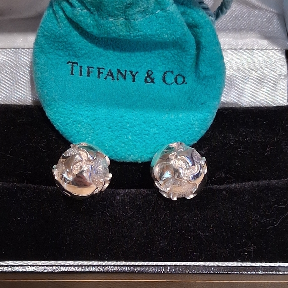 Tiffany & Co. Other - Tiffany & Co Sterling Silver Globe Cufflinks 925 World Map With Box & Pouch